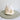 Natural Casis Cornuta Shell