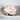Murex Brassica Natural Shell
