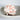 Murex Brassica Natural Shell