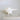 Natural Murex Nigrospinosus Large Shell