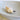 Natural Strombus Aratam Shell