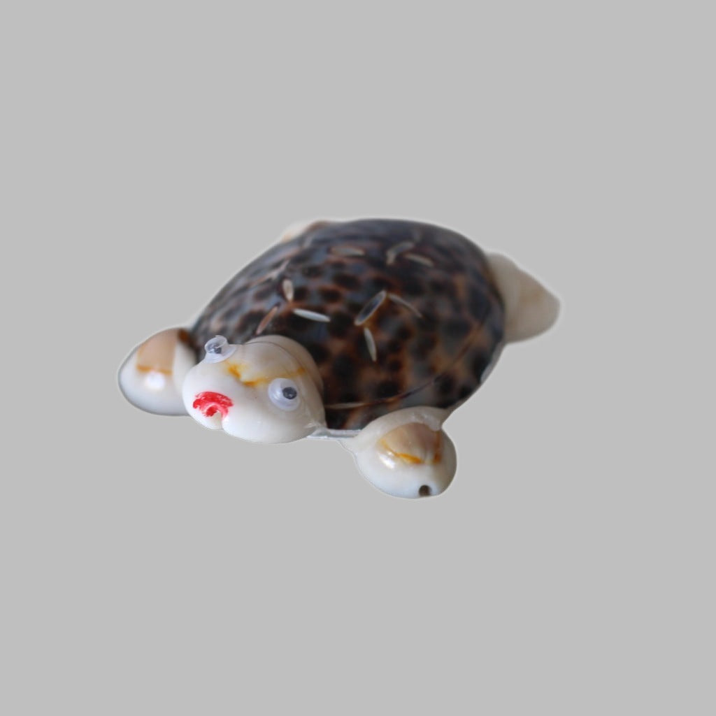 Bali Turtle 5-6Cm