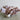 Natural Barnacle Large 12 To 15 Inch Shell