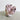 Natural Barnacle Small 3 Inch Shell