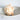 Busycom Contrarium 6-8 Natural Shell