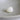 Natural Cardium Unedo Shell