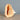 Cassis Cornuta 22-24Cm Natural Shell