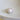 Conus Marmoreus Natural Shell