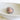 Conus Striatus Natural Shell