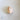 Conus Textile Natural Shell