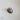 Natural Cyprea Capuserpentis Purple Shell