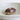 Natural Cyprea Testudinaria Shell