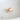 Natural Cyprea Vitellus Shell