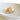 Cypreae Mappa Natural Shell