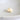 Natural Distortio Reticulata Shell