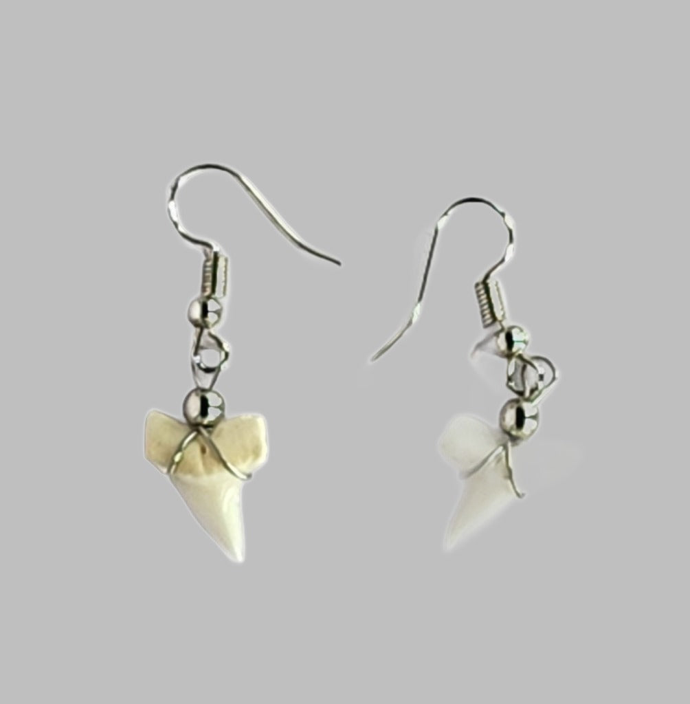 Earring Sharks Tooth