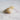Epitonium Scalare Natural Shell