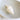Fusinus Nicobaricus 10Cm Up Natural Shell