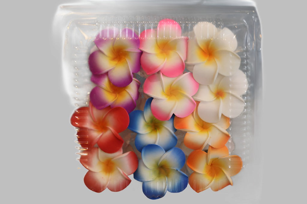 Hairclips Frangipani Assorted Colours Xl Pack Of 12