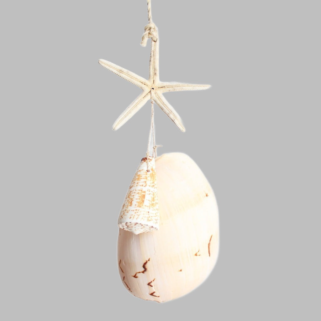 Hanger 43 Inch With Starfish Melo And Cone Shell Hangers & Chandeliers