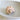 Harpa Natural Shell