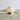Natural Lambis Chiragra Shell