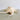 Natural Lambis Chiragra Shell