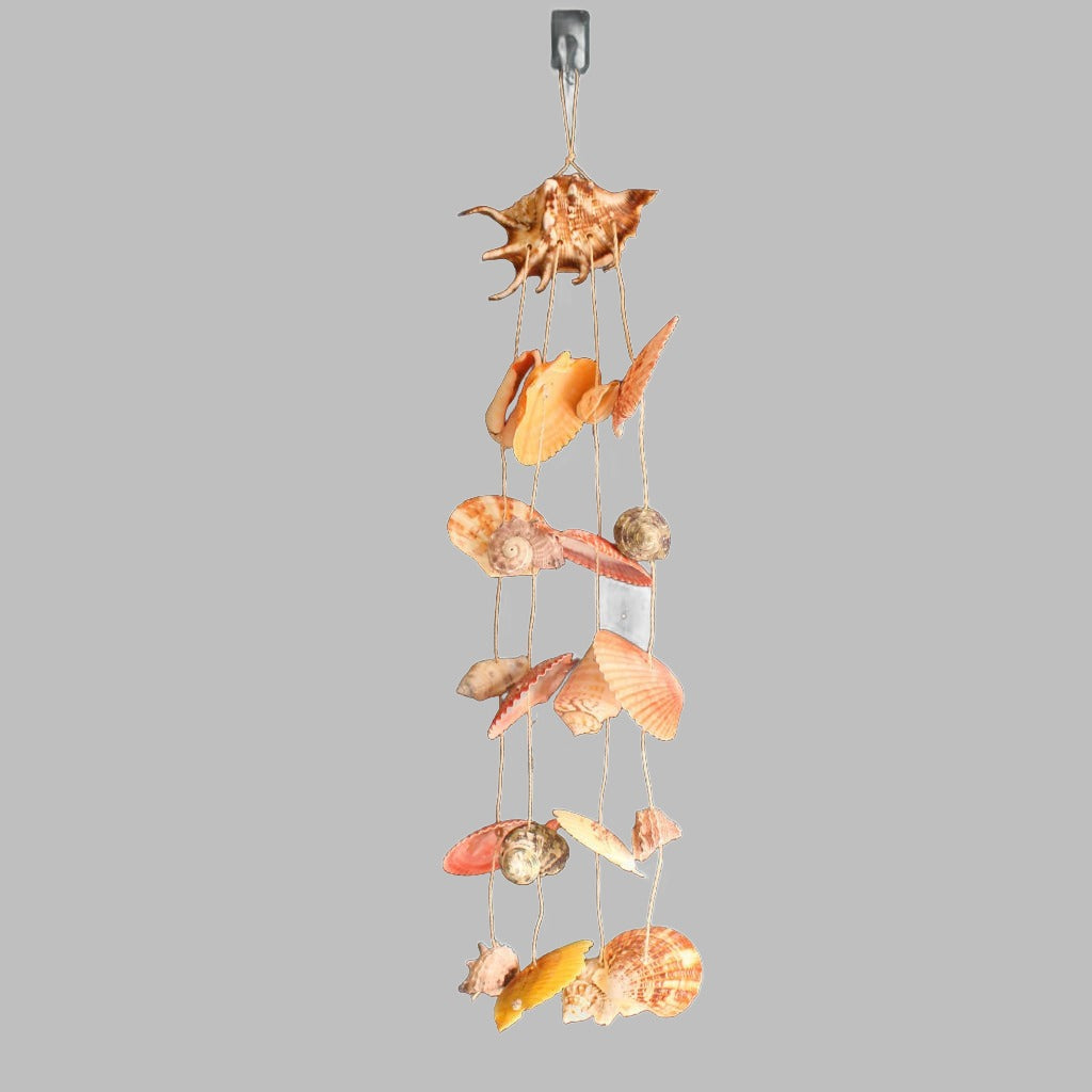 Lambis Hanging Chime With Assorted Shells Hanger Hangers &amp; Chandeliers