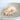 Natural Lambis Millipeda Shell