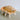 Natural Truncata Shell