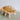 Natural Truncata Shell