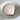 Lions Paw Polished Natural Shell