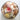 Midrib Shell Pack