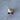Mouse Made From Babalonia Areolata