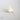Natural Murex Axicornus Shell