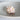 Murex Pink Natural Shell
