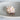 Murex Pink Natural Shell