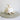 Natural Murex Ramosus Shell