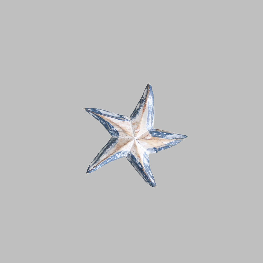 Nautical Magnet Starfish
