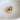 Natural Olivia Miniacea Shell