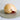 Polished Melo Shells