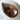 Polished Pen Shell 10-15Cm Shells