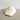 Polished Strombus Latissimus Carved Snail Shells