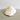 Polished Strombus Latissimus Carved Snail Shells