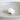 Polished Strombus Turturella White Shells