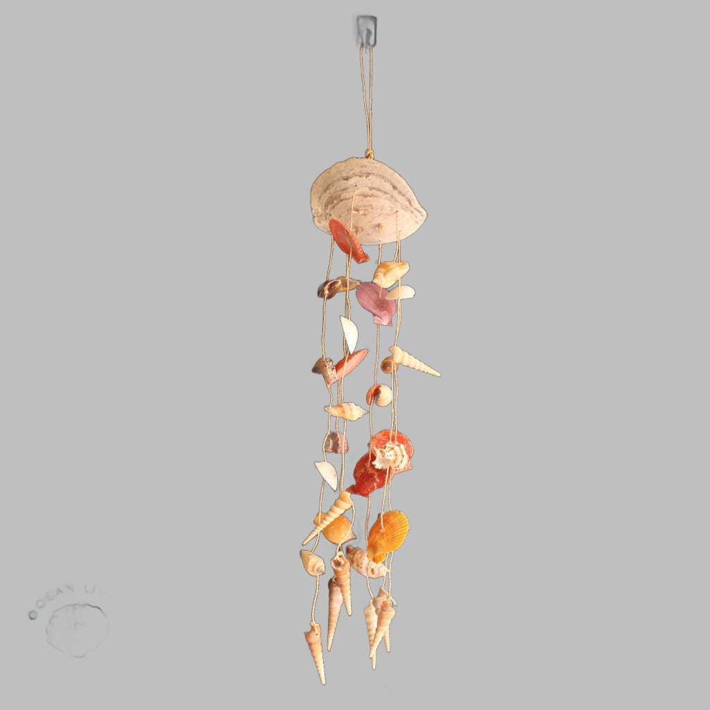 Saddle Chime With Assorted Shells Hanger Hangers &amp; Chandeliers