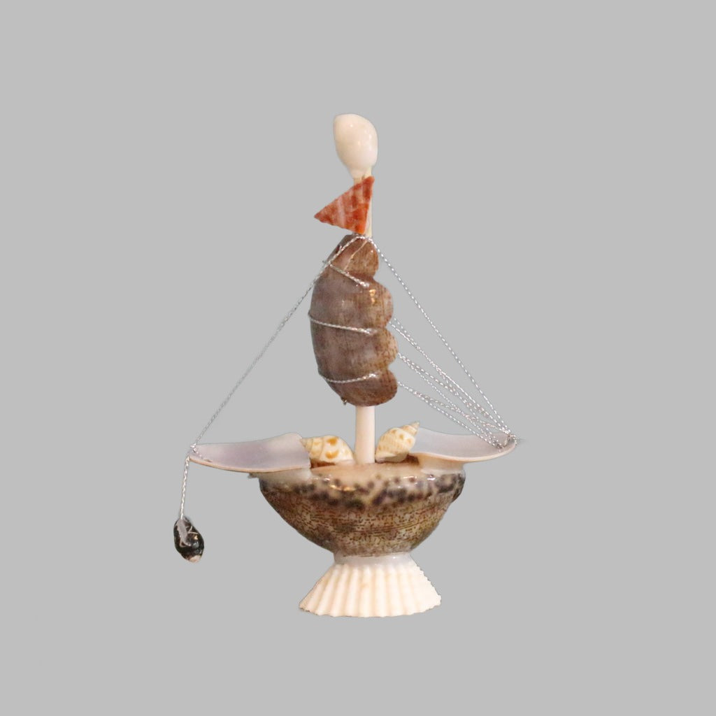 Shell Boats With 1 Sail Small Arabica