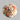 Shell Pack Fruits Of The Sea.