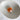 Spondylis Barbartus Orange Natural Shell