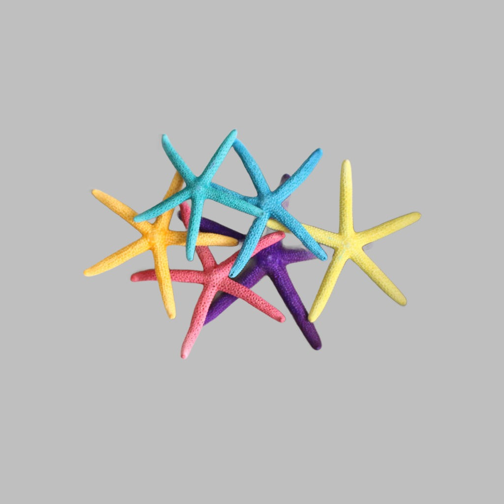 Starfish Blue Assorted Colours 2-3 Pack Of 6